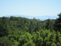 View from Top of Property